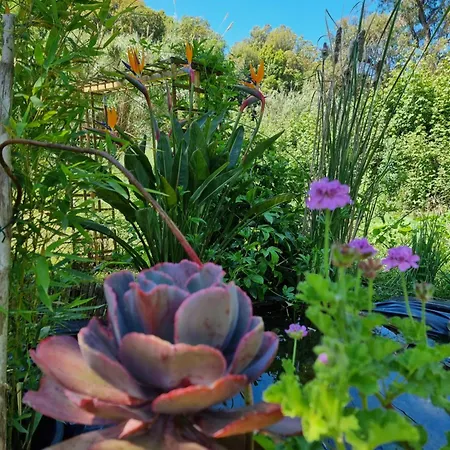 Apartment Avec Salle De Bain *