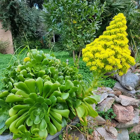 Avec Salle De Bain Apartment